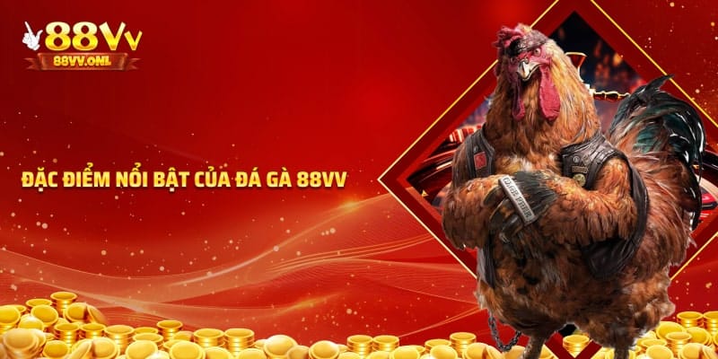 Ưu điểm nổi bật của đá gà 88VV