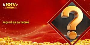 Các câu hỏi về đá gà Thomo