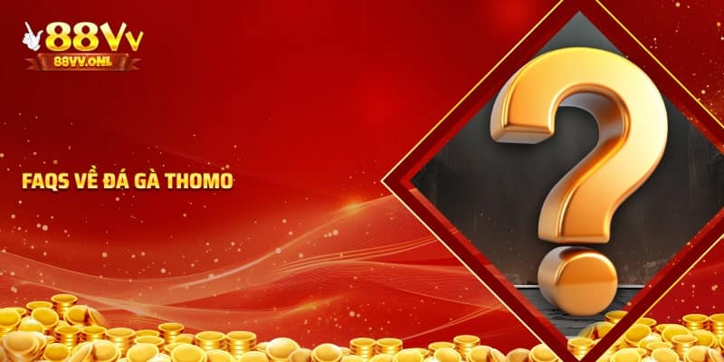 Các câu hỏi về đá gà Thomo