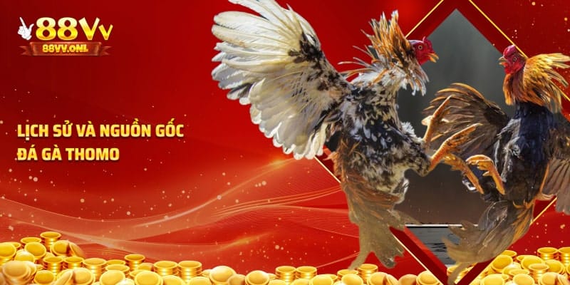 Nguồn gốc của đá gà thomo